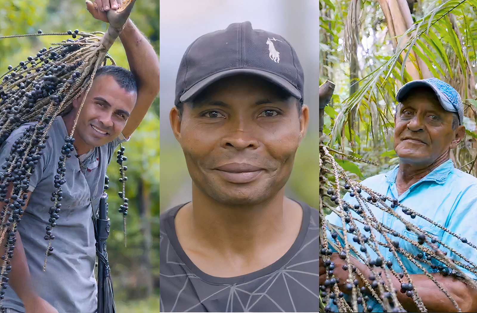 Die Acai-Beeren stiften Hoffnung für die Menschen in Kolumbien